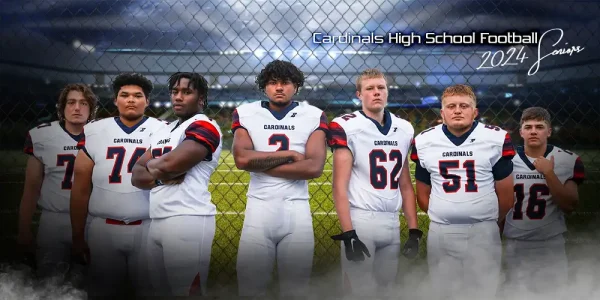 Fenced In Football 8'x4'