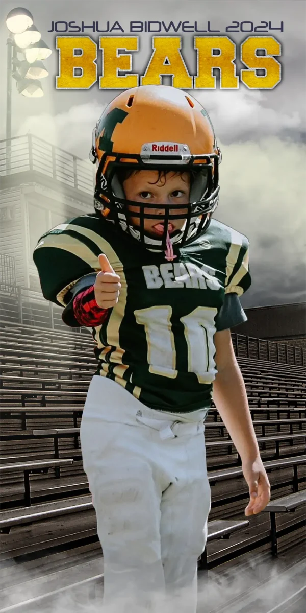 In The Stands 3'x6'