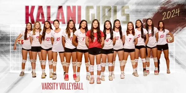 Painted Volleyball Team 4'x8'